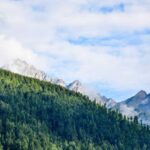 resized_22_fallback